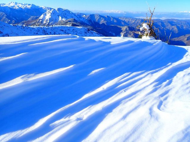 冬の魅力を感じるスキー旅行の楽しみ