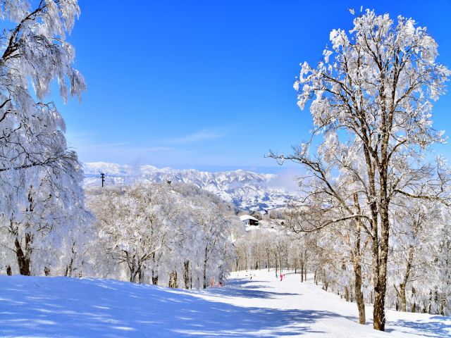 新幹線JRで楽しむスキーの魅力