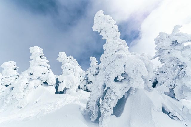 スノボツアーで楽しむ雪山の魅力